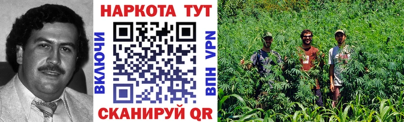 Как найти закладки Струнино МАРИХУАНА  Alpha PVP  Гашиш  ссылка на мегу зеркало  Меф мяу мяу 