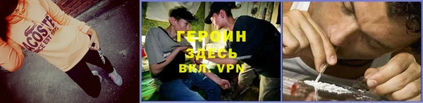 гидра Алексин
