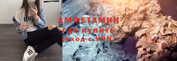 гидра Алексин